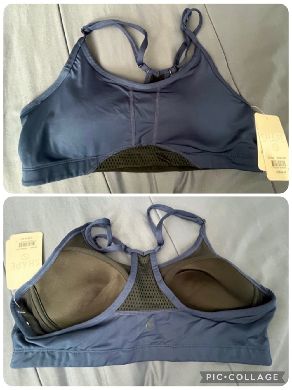 NWT Shape Exceed Bra - Medival Blue - Size Large